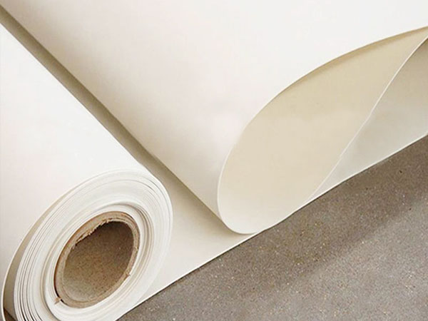 Thermoplastic polyolefin (TPO) waterproofing membrane