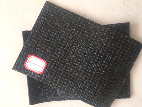 Plastic modified asphalt waterproofing membrane (APP)